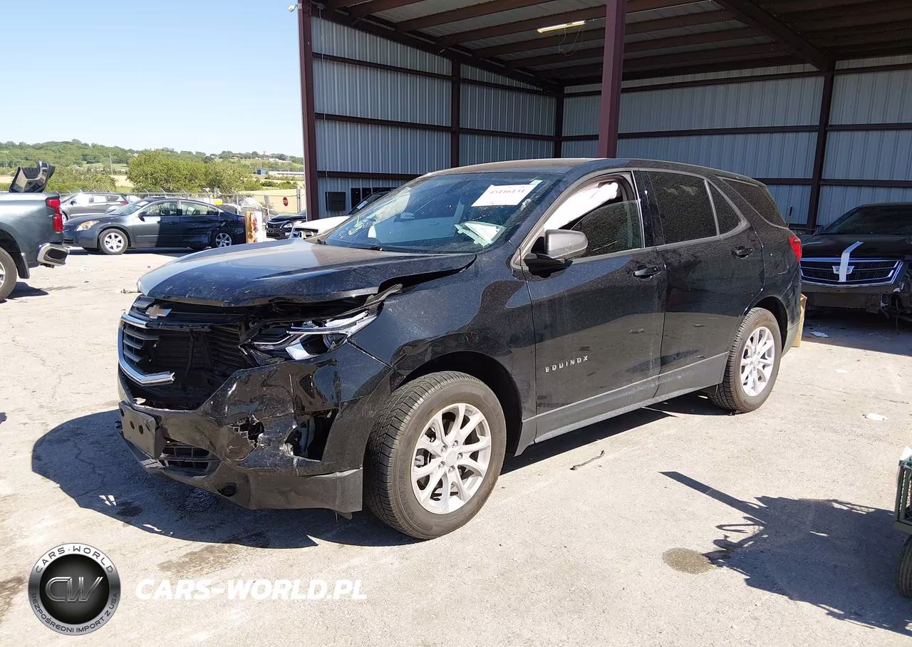 2019 Chevrolet Equinox Ls VIN:3GNAXSEV7KL217025 - 2