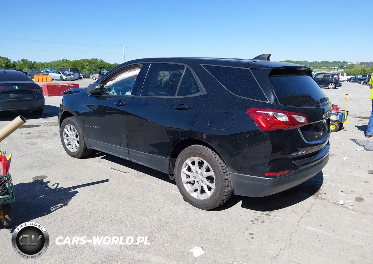 2019 Chevrolet Equinox Ls VIN:3GNAXSEV7KL217025 - 3