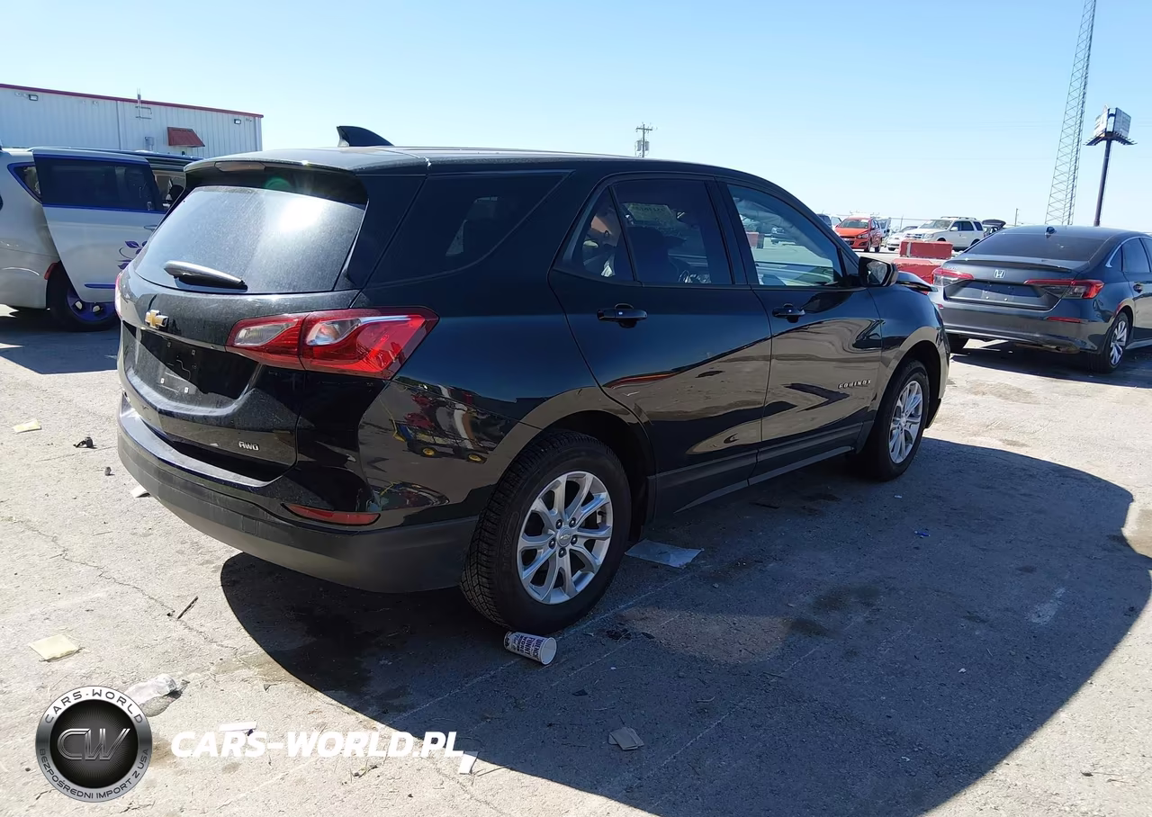 2019 Chevrolet Equinox Ls VIN:3GNAXSEV7KL217025 - 4