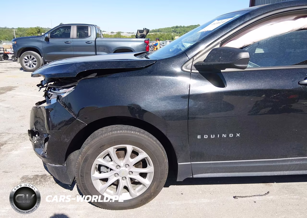 2019 Chevrolet Equinox Ls VIN:3GNAXSEV7KL217025 - 6