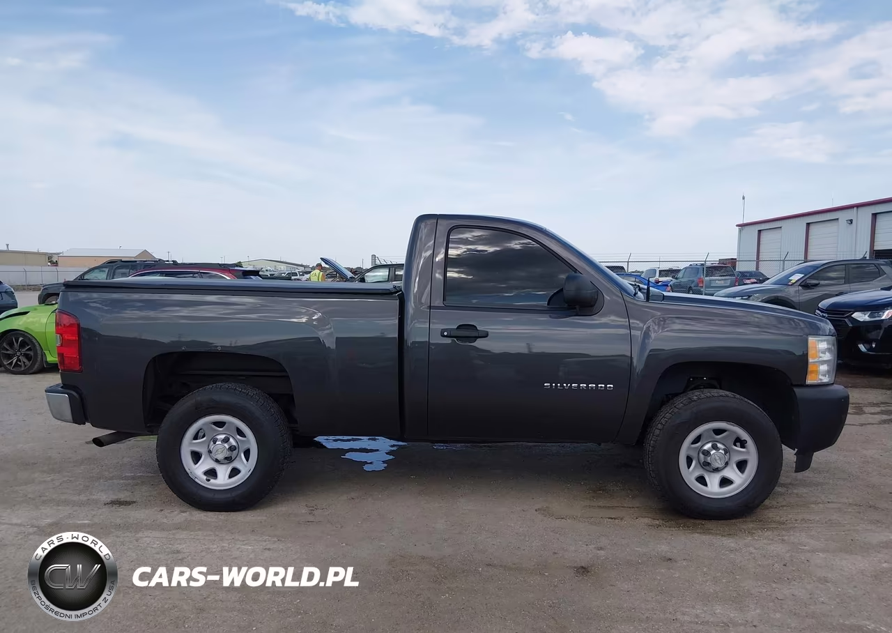 2011 Chevrolet Silverado 1500 Work Truck VIN:1GCNCPEX0BZ450192 - 13