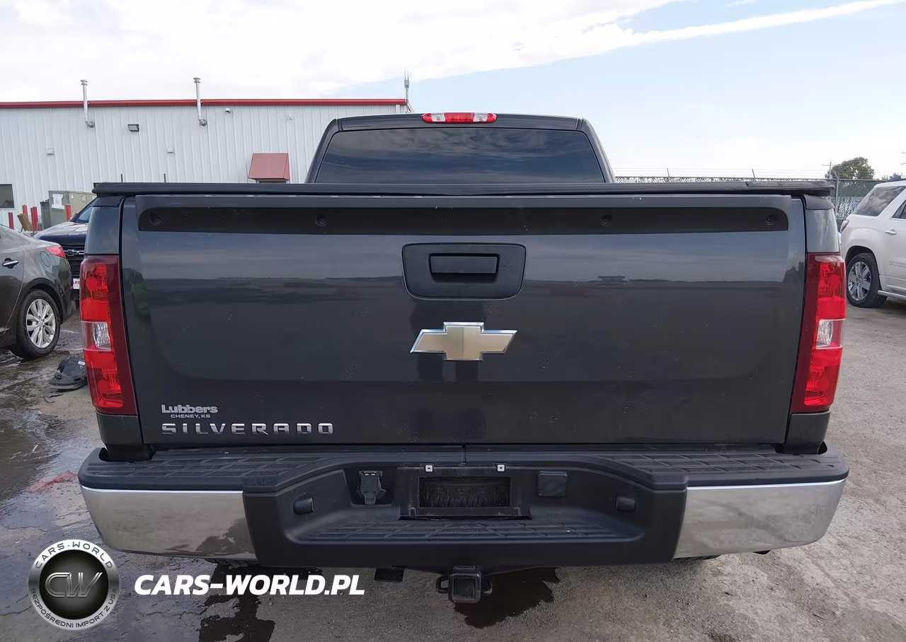 2011 Chevrolet Silverado 1500 Work Truck VIN:1GCNCPEX0BZ450192 - 16