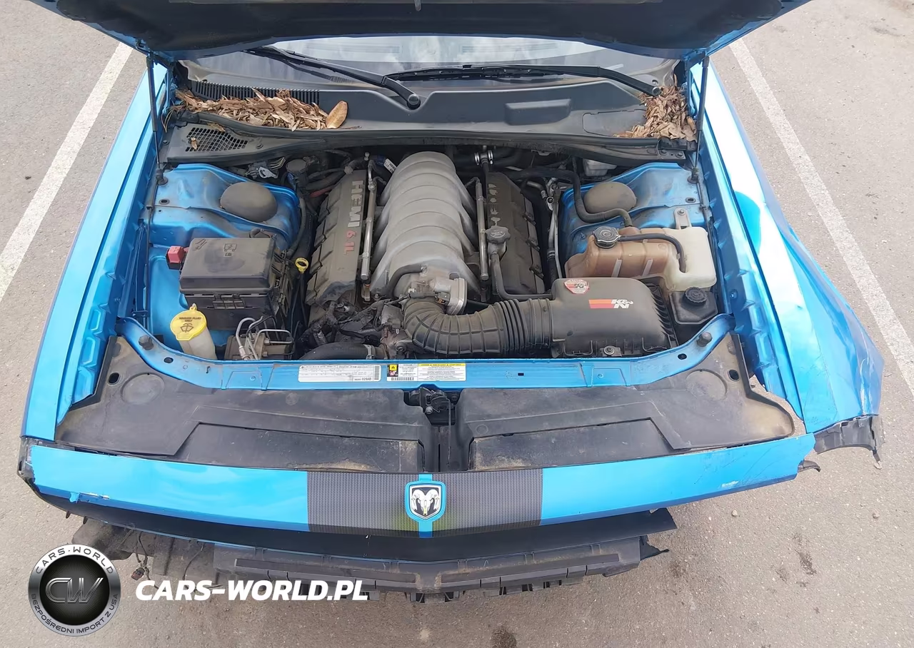 2010 Dodge Challenger Srt8 VIN:2B3CJ7DW4AH142318 - 10