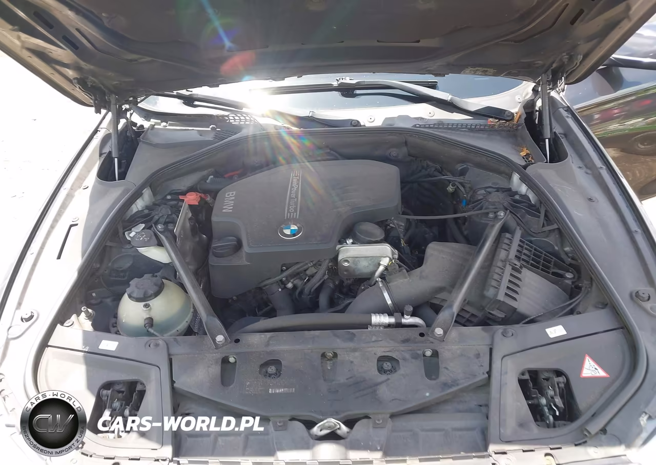 2013 BMW 528I VIN:WBAXG5C58DDY31028 - 10