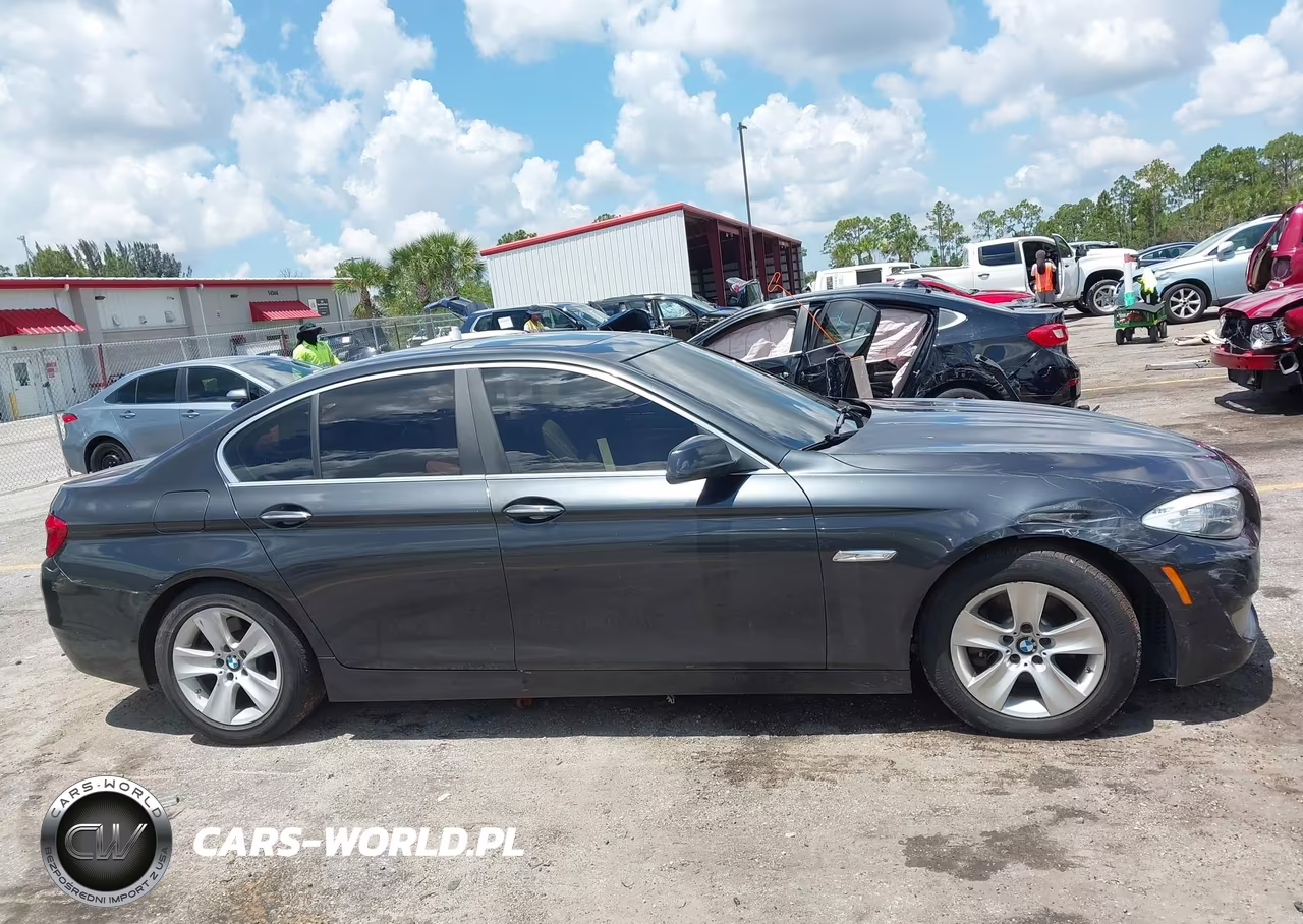 2013 BMW 528I VIN:WBAXG5C58DDY31028 - 13