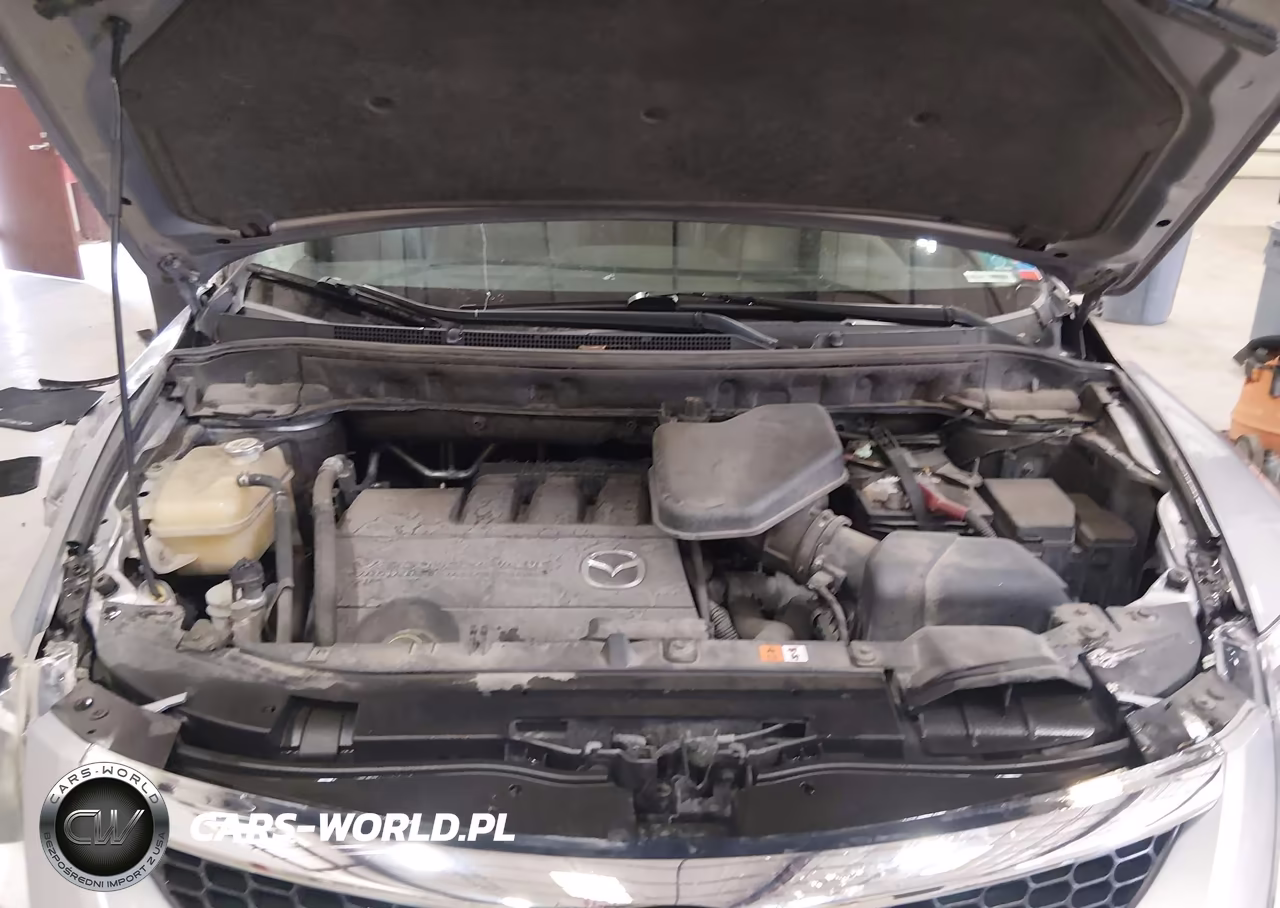 2007 Mazda Cx-9 Touring VIN:JM3TB38YX70102989 - 10