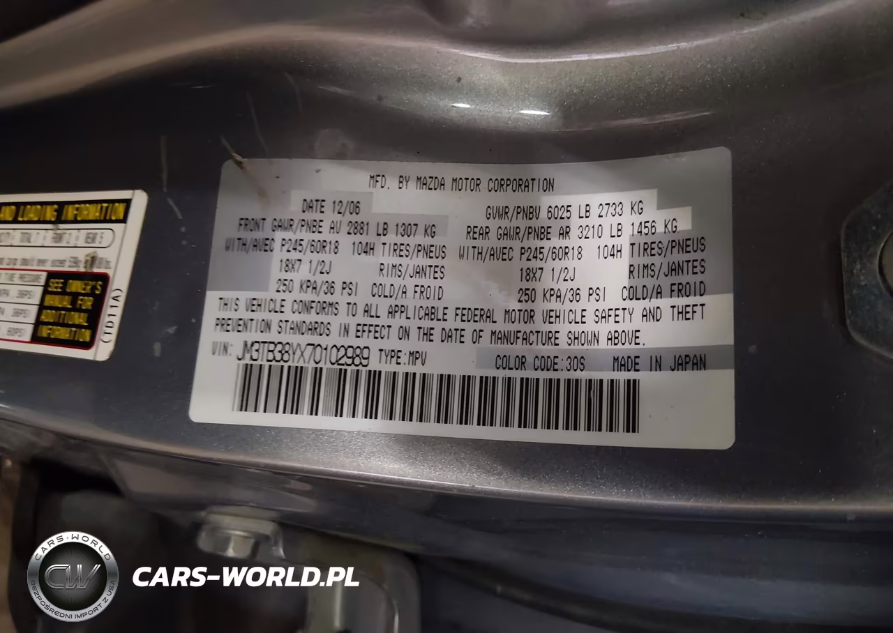 2007 Mazda Cx-9 Touring VIN:JM3TB38YX70102989 - 9
