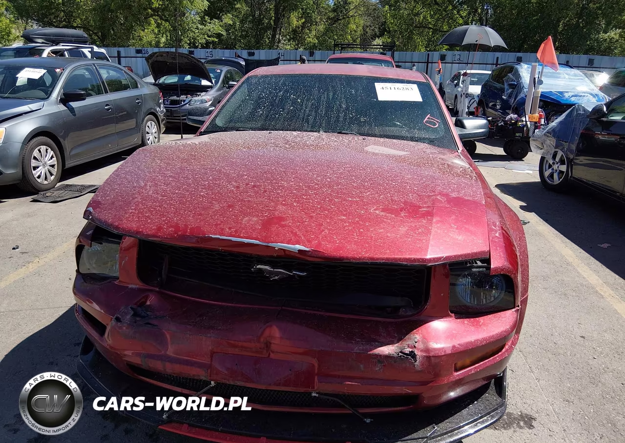 2007 Ford Mustang V6 Deluxe-V6 Premium VIN:1ZVFT80N375354570 - 13