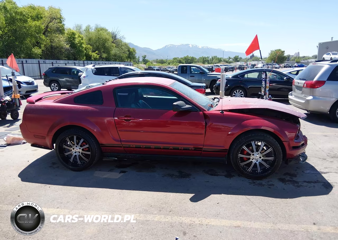 2007 Ford Mustang V6 Deluxe-V6 Premium VIN:1ZVFT80N375354570 - 14