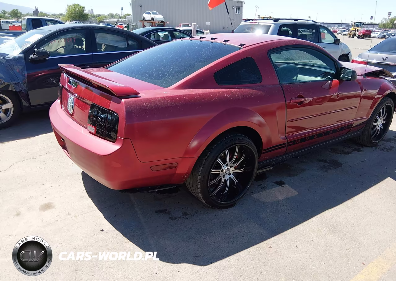 2007 Ford Mustang V6 Deluxe-V6 Premium VIN:1ZVFT80N375354570 - 4