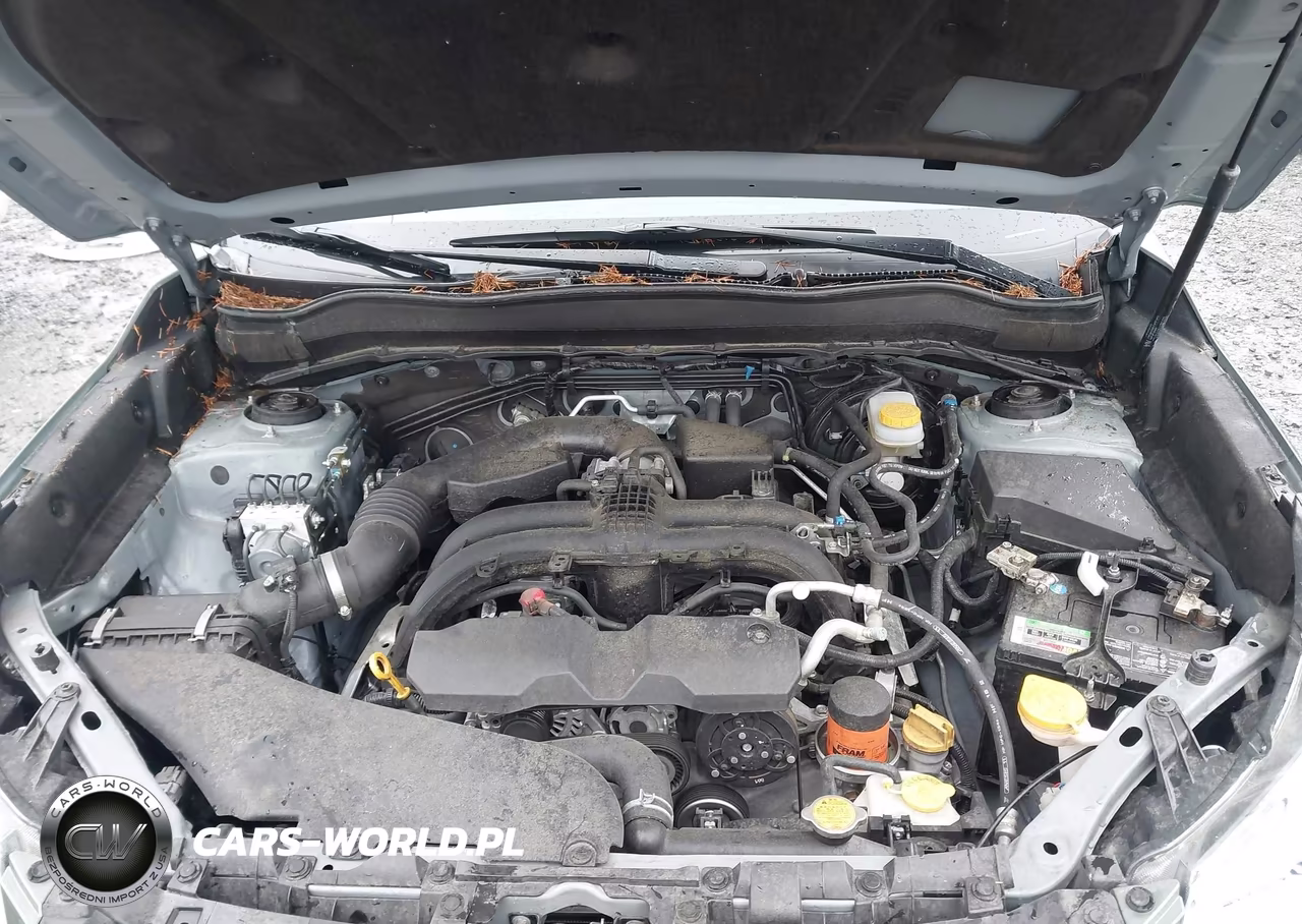 2018 Subaru Forester 2.5I Premium VIN:JF2SJAECXJH615691 - 10
