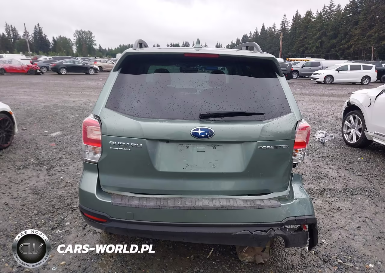 2018 Subaru Forester 2.5I Premium VIN:JF2SJAECXJH615691 - 16