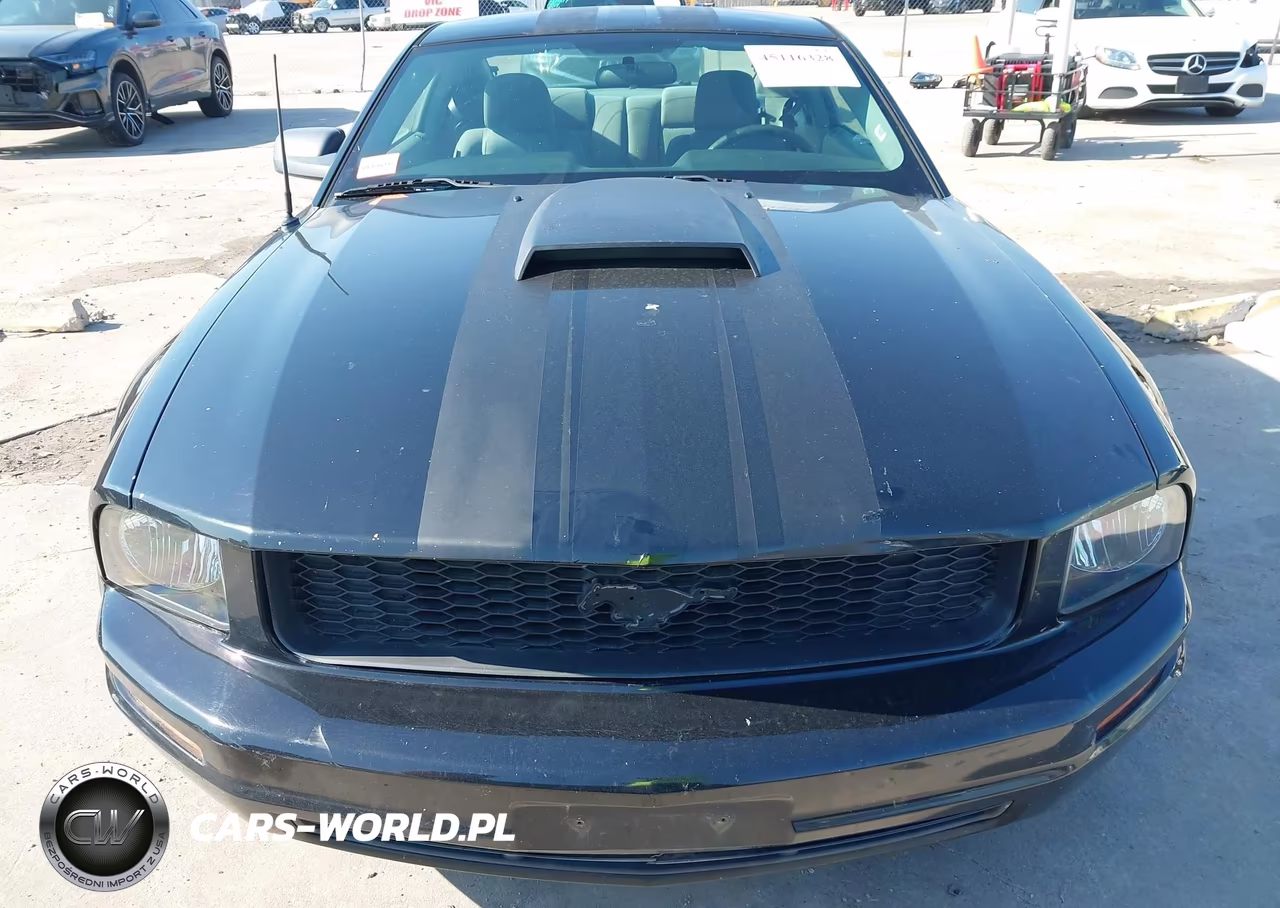 2009 Ford Mustang V6-V6 Premium VIN:1ZVHT80N495115184 - 13