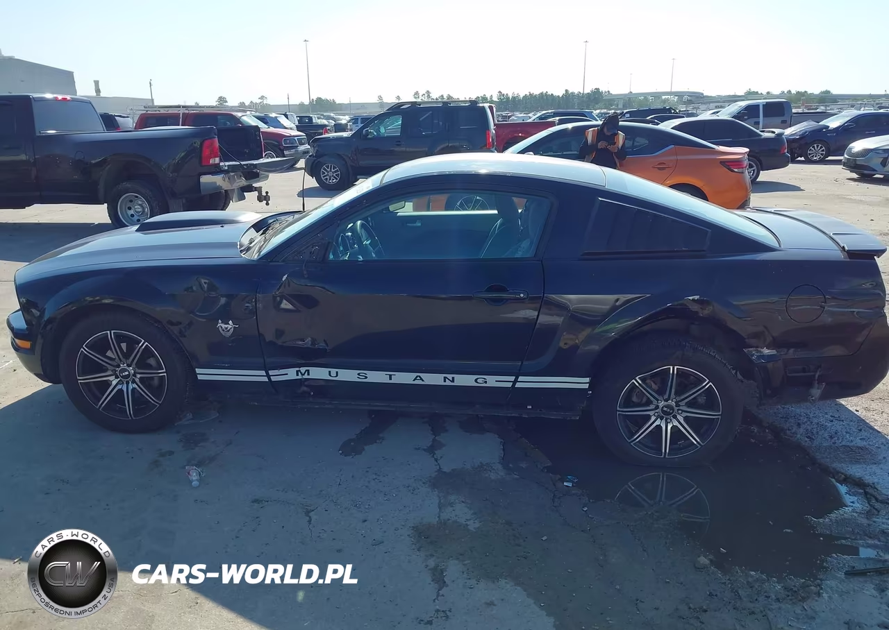 2009 Ford Mustang V6-V6 Premium VIN:1ZVHT80N495115184 - 15