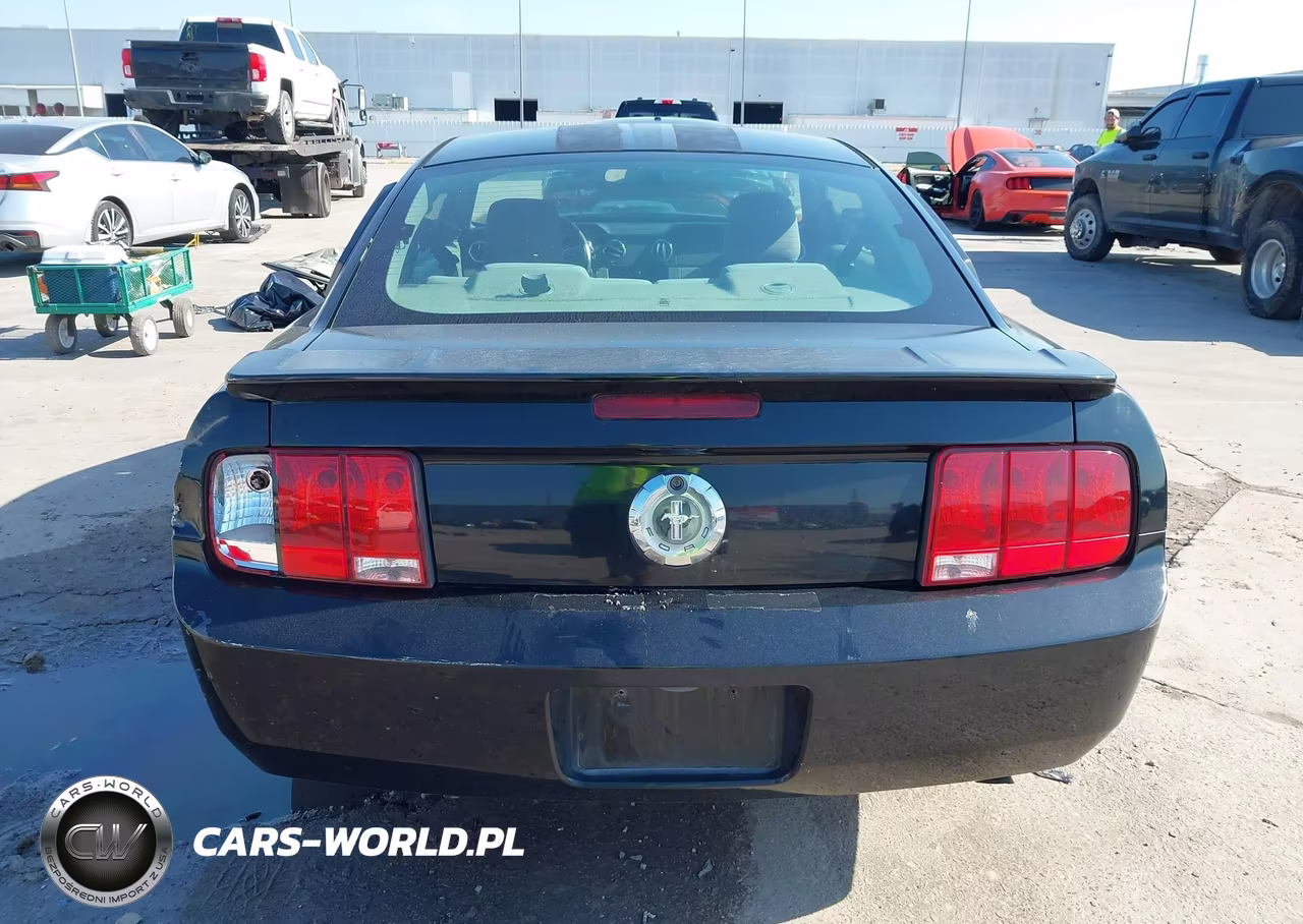 2009 Ford Mustang V6-V6 Premium VIN:1ZVHT80N495115184 - 17