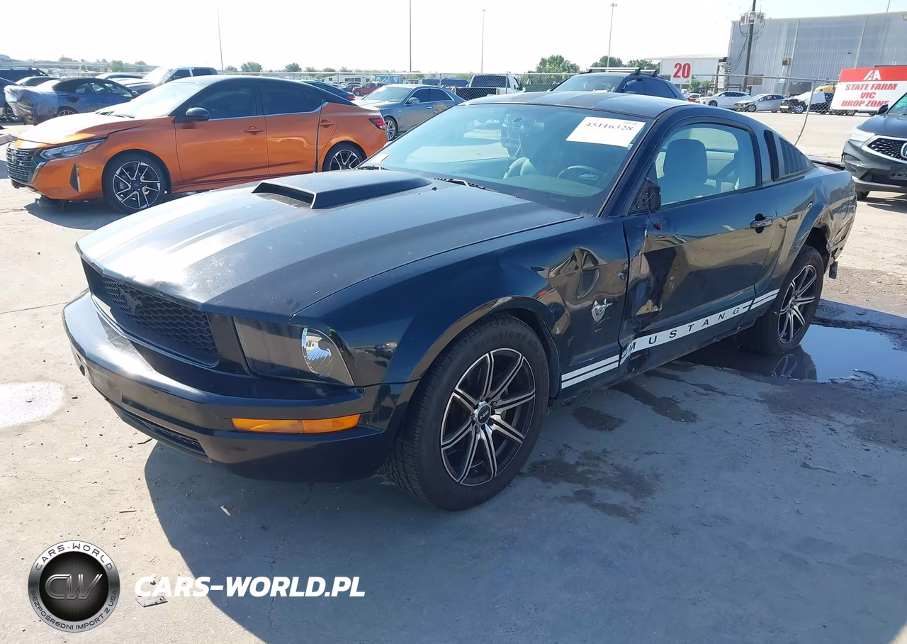 2009 Ford Mustang V6-V6 Premium VIN:1ZVHT80N495115184 - 2