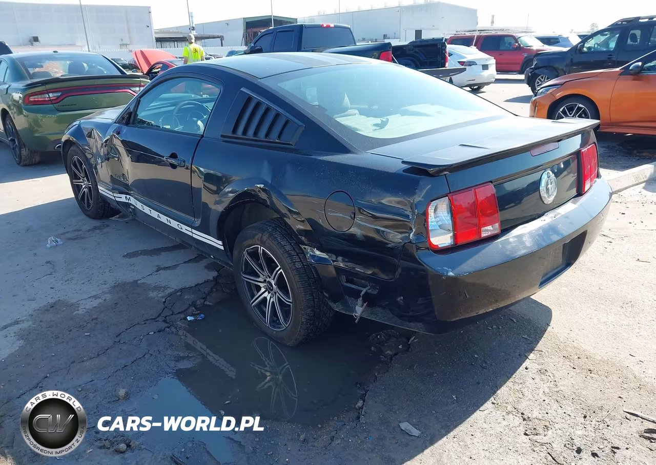 2009 Ford Mustang V6-V6 Premium VIN:1ZVHT80N495115184 - 3