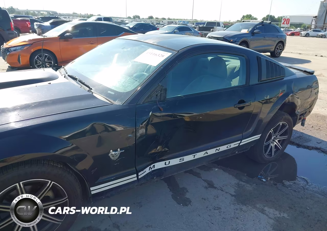 2009 Ford Mustang V6-V6 Premium VIN:1ZVHT80N495115184 - 6