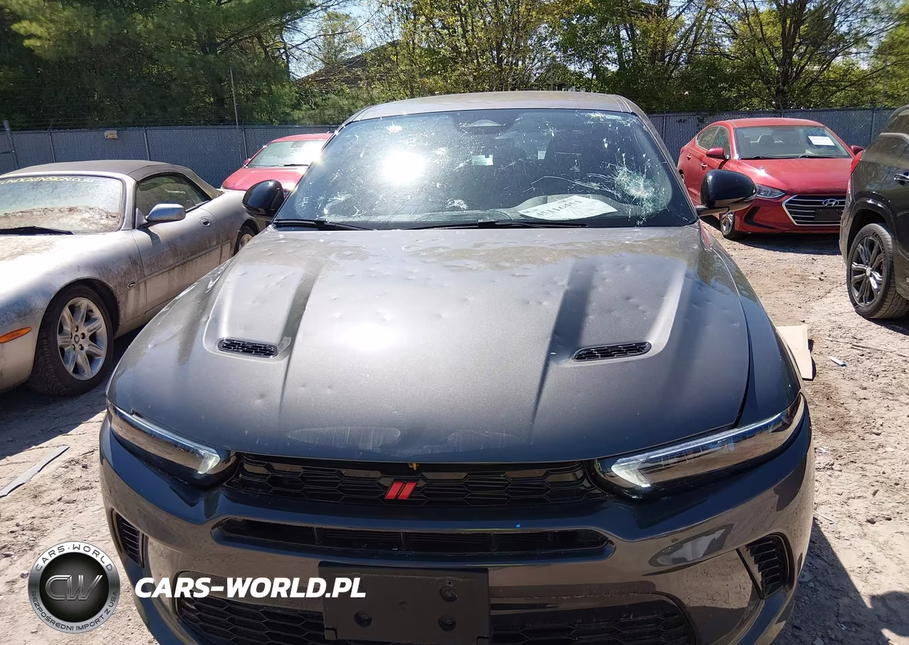 2024 Dodge Hornet Gt Awd VIN:ZACNDFAN2R3A39422 - 12