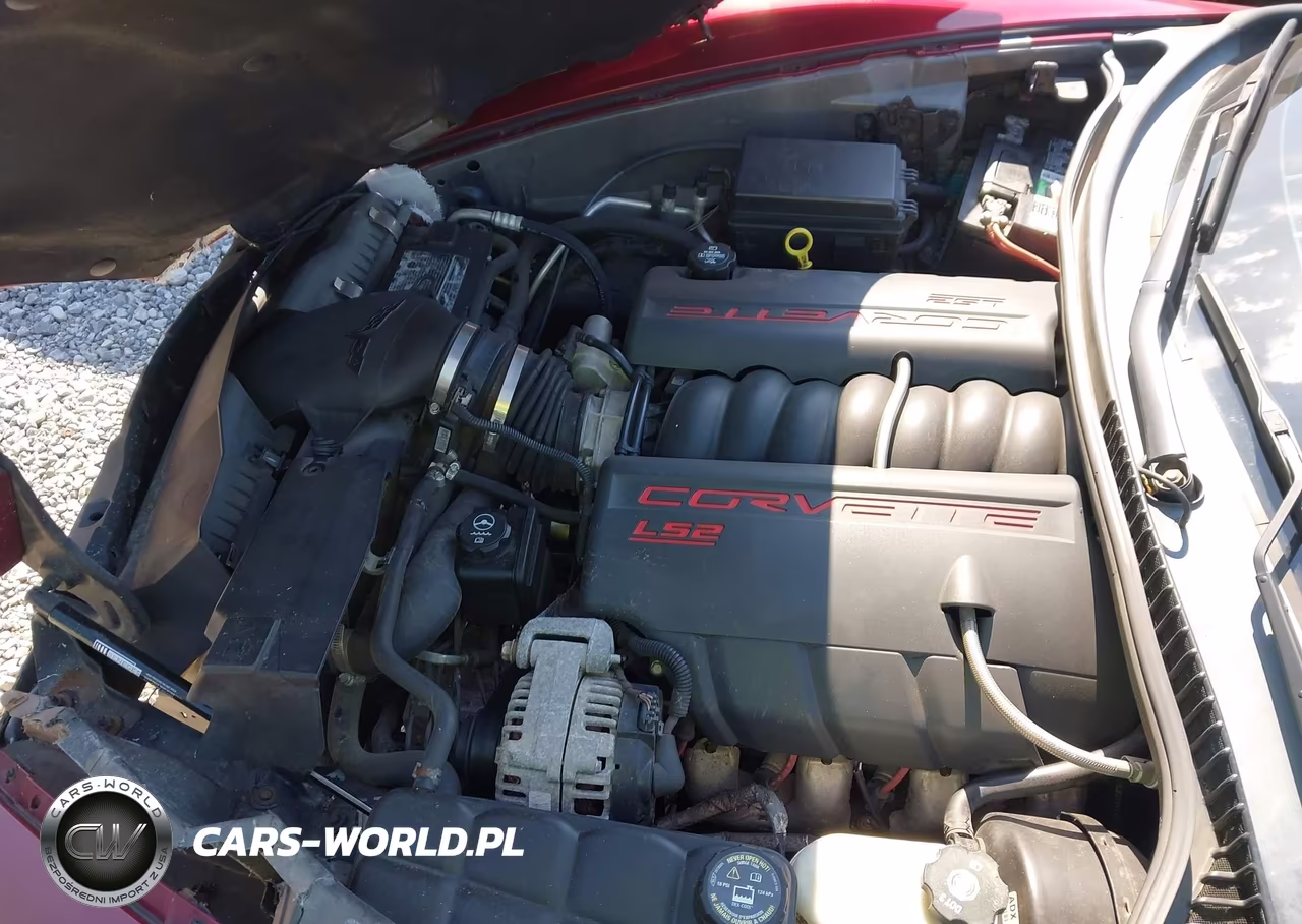 2006 Chevrolet Corvette VIN:1G1YY26U865107268 - 10