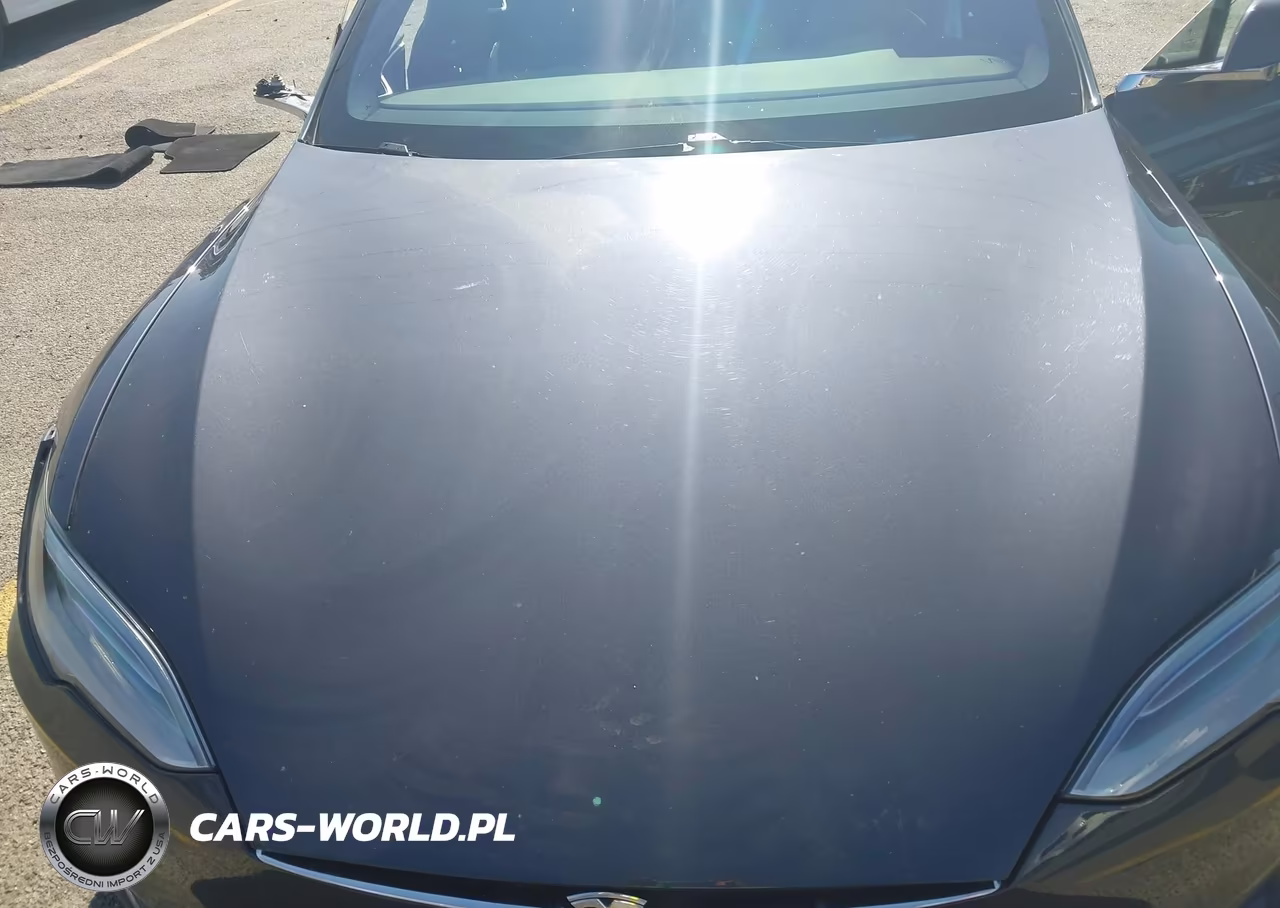 2018 Tesla Model S 100D-75D-P100D VIN:5YJSA1E27JF247833 - 10