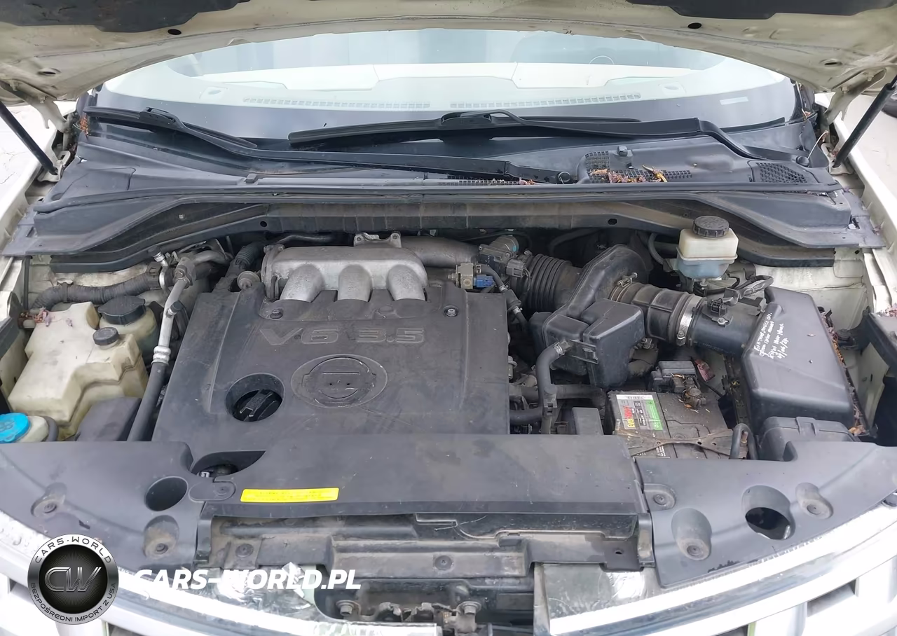 2004 Nissan Murano Sl VIN:JN8AZ08T64W227354 - 10