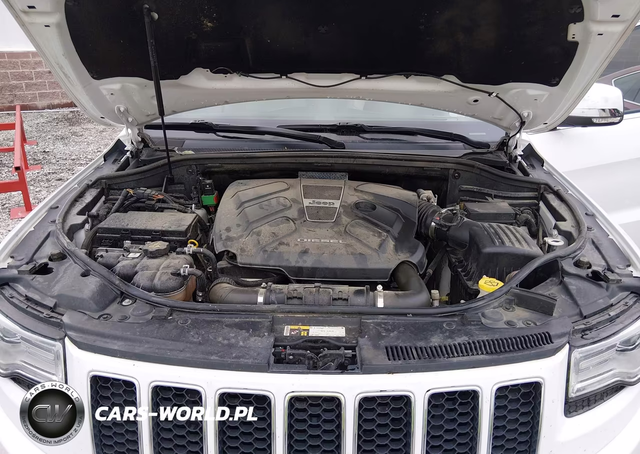 2016 Jeep Grand Cherokee Overland VIN:1C4RJFCM9GC325468 - 10