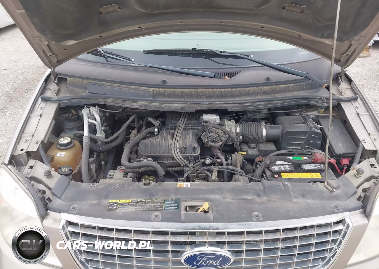 2004 Ford Freestar Sel VIN:2FMZA52244BA29713 - 10