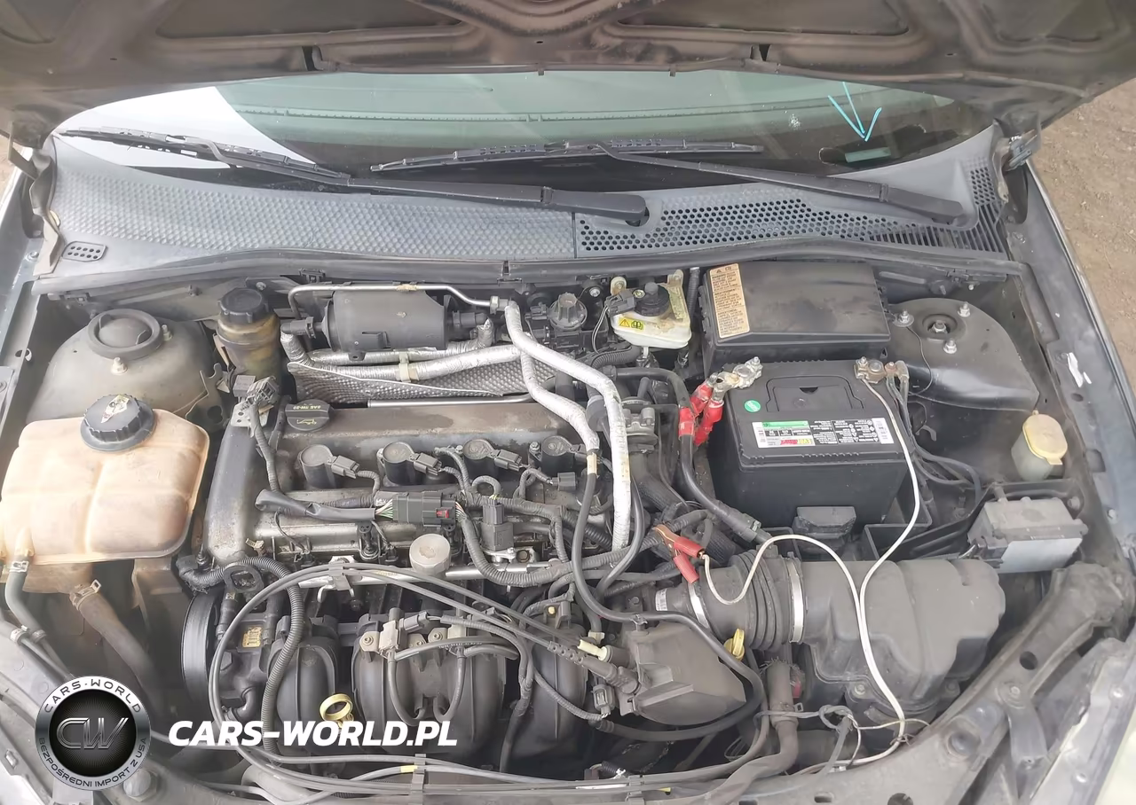 2004 Ford Focus Zts VIN:1FAFP38Z74W117559 - 10