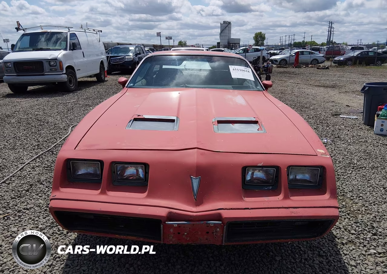 1981 Pontiac Firebird Formula VIN:1G2AV87S3BL114088 - 13