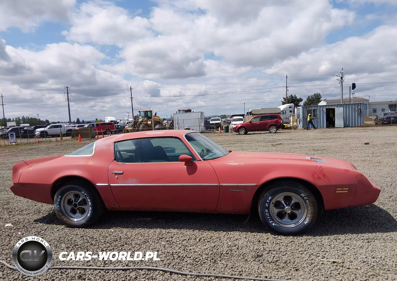 1981 Pontiac Firebird Formula VIN:1G2AV87S3BL114088 - 14