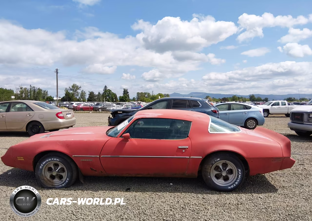 1981 Pontiac Firebird Formula VIN:1G2AV87S3BL114088 - 15