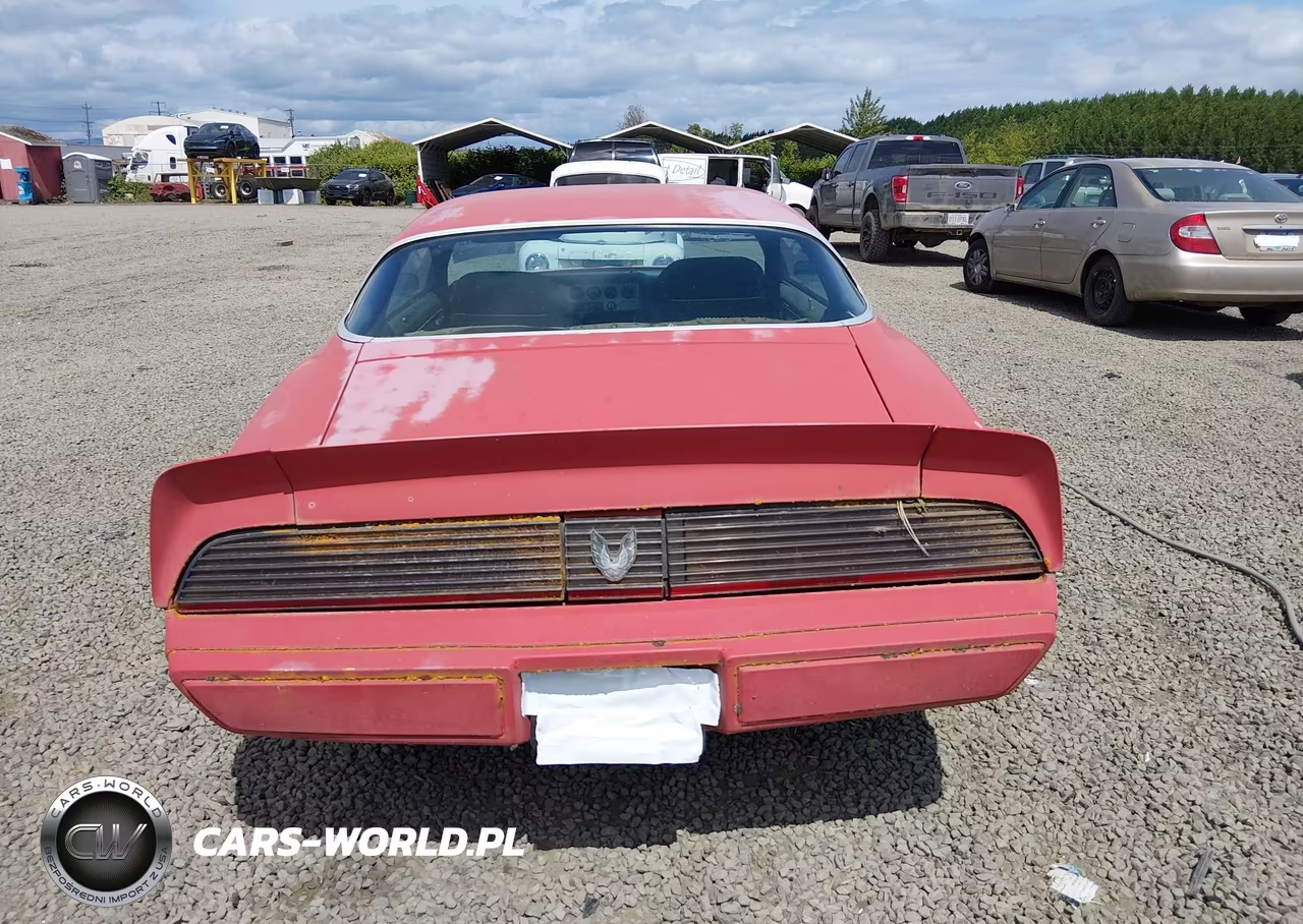 1981 Pontiac Firebird Formula VIN:1G2AV87S3BL114088 - 17