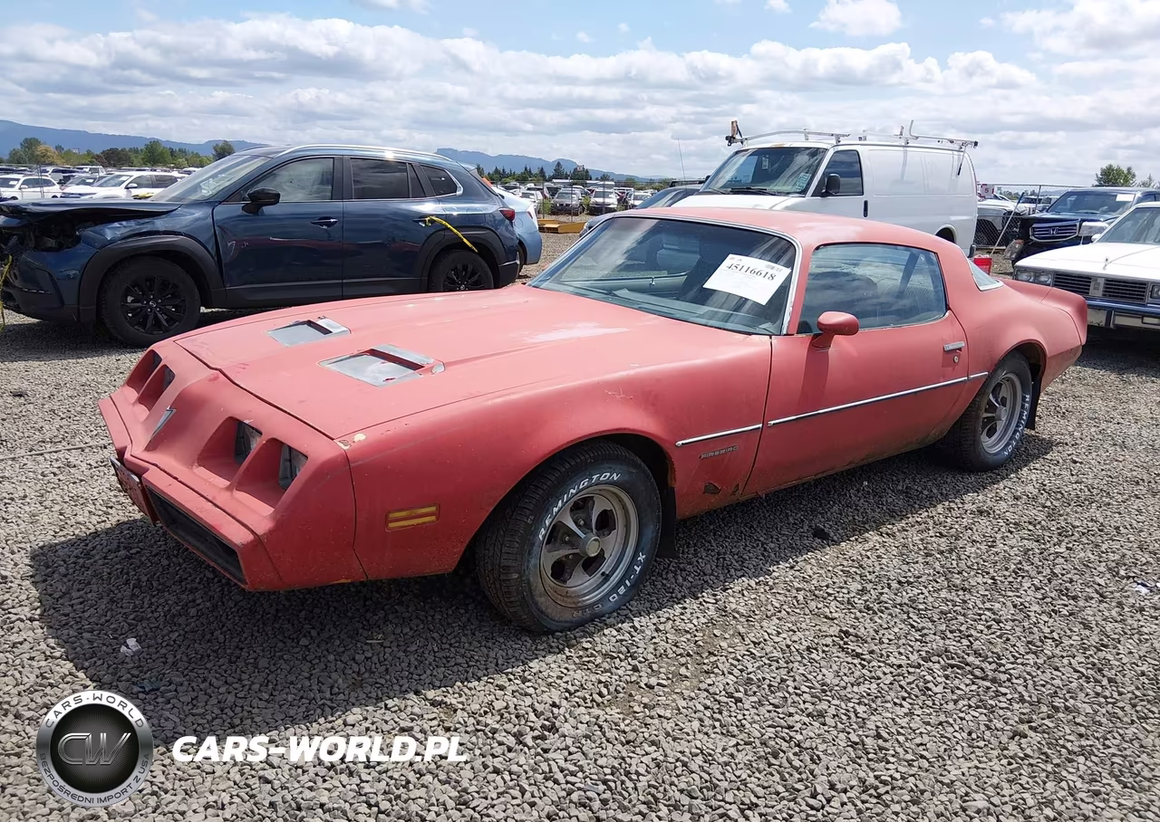 1981 Pontiac Firebird Formula VIN:1G2AV87S3BL114088 - 2
