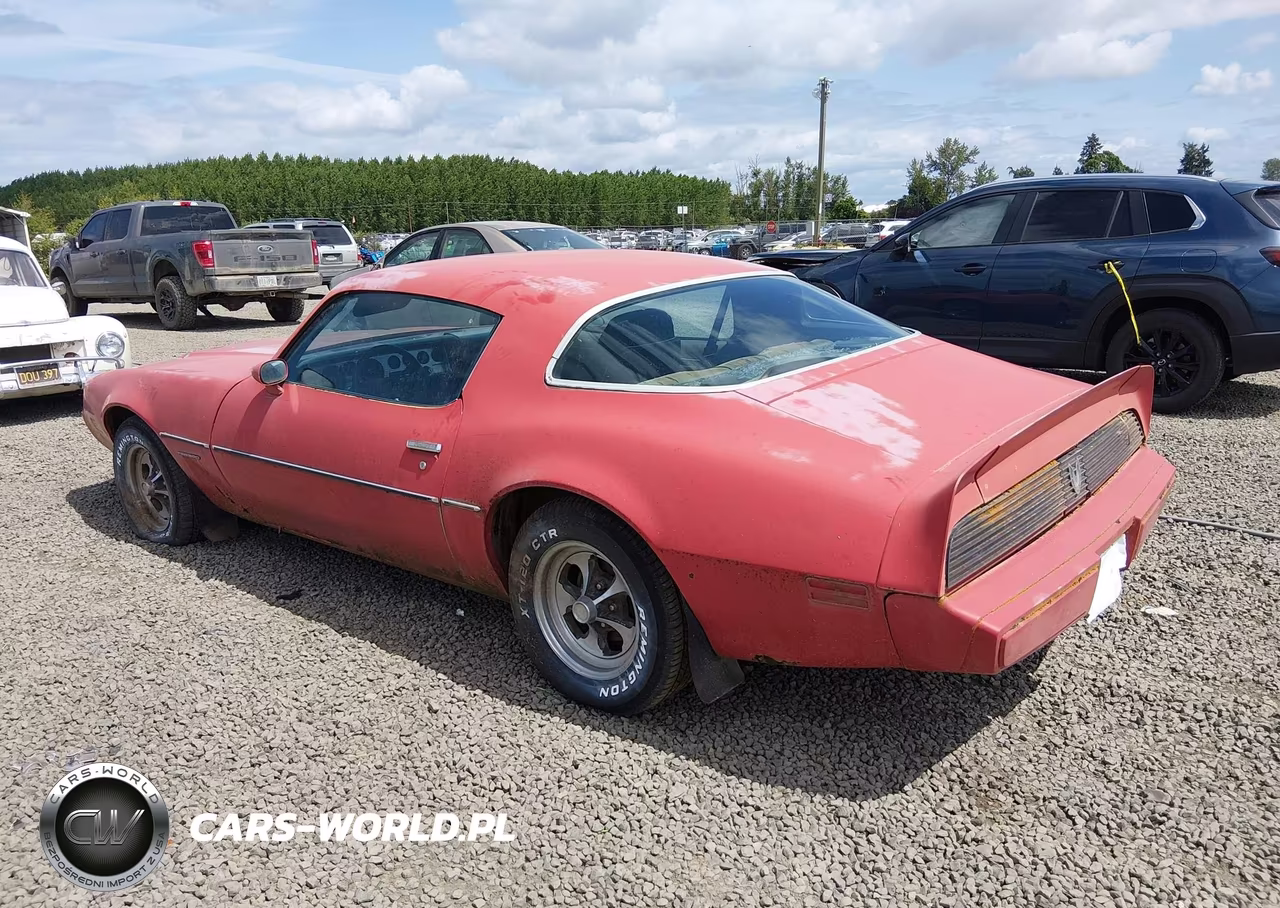 1981 Pontiac Firebird Formula VIN:1G2AV87S3BL114088 - 3