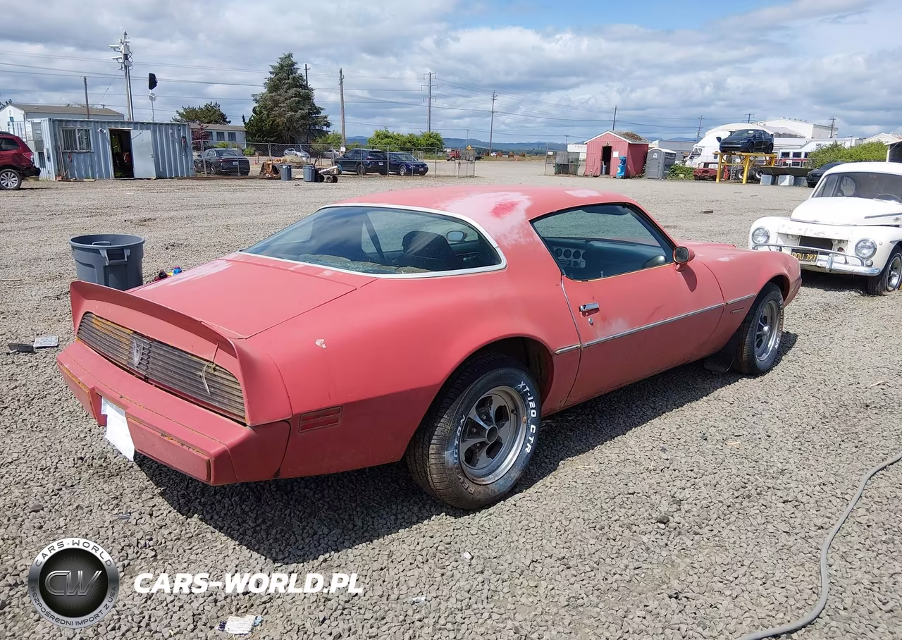 1981 Pontiac Firebird Formula VIN:1G2AV87S3BL114088 - 4