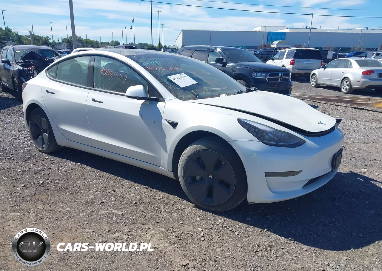 2023 Tesla Model 3 Rear-Wheel Drive