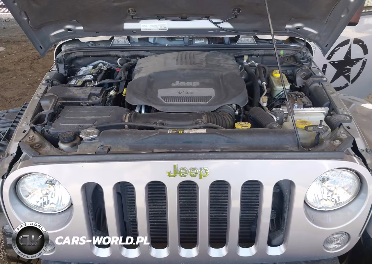 2015 Jeep Wrangler Unlimited Rubicon VIN:1C4BJWFGXFL684026 - 10