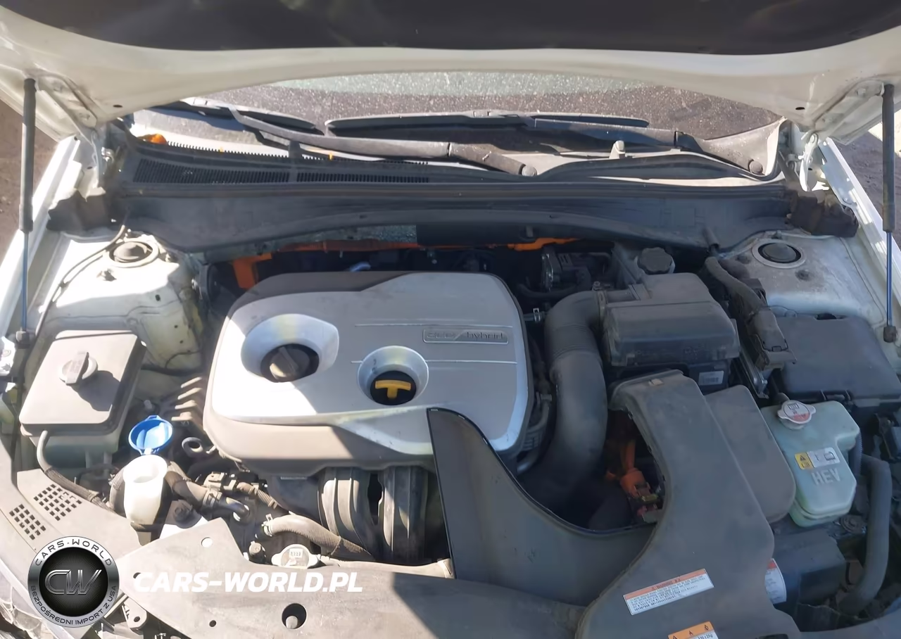 2017 Kia Optima Hybrid VIN:KNAGT4LC3H5007295 - 10