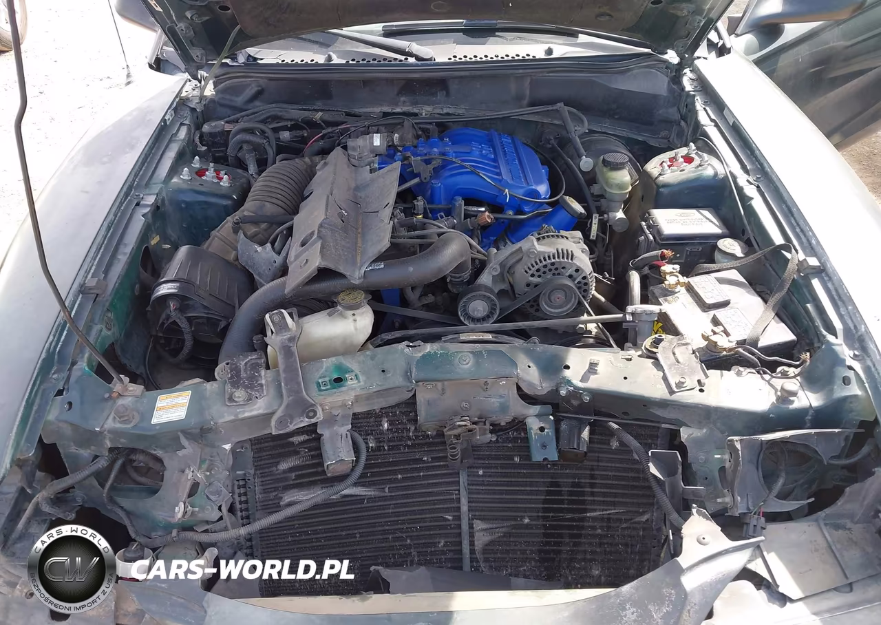 1998 Ford Mustang VIN:1FAFP4044WF197699 - 10
