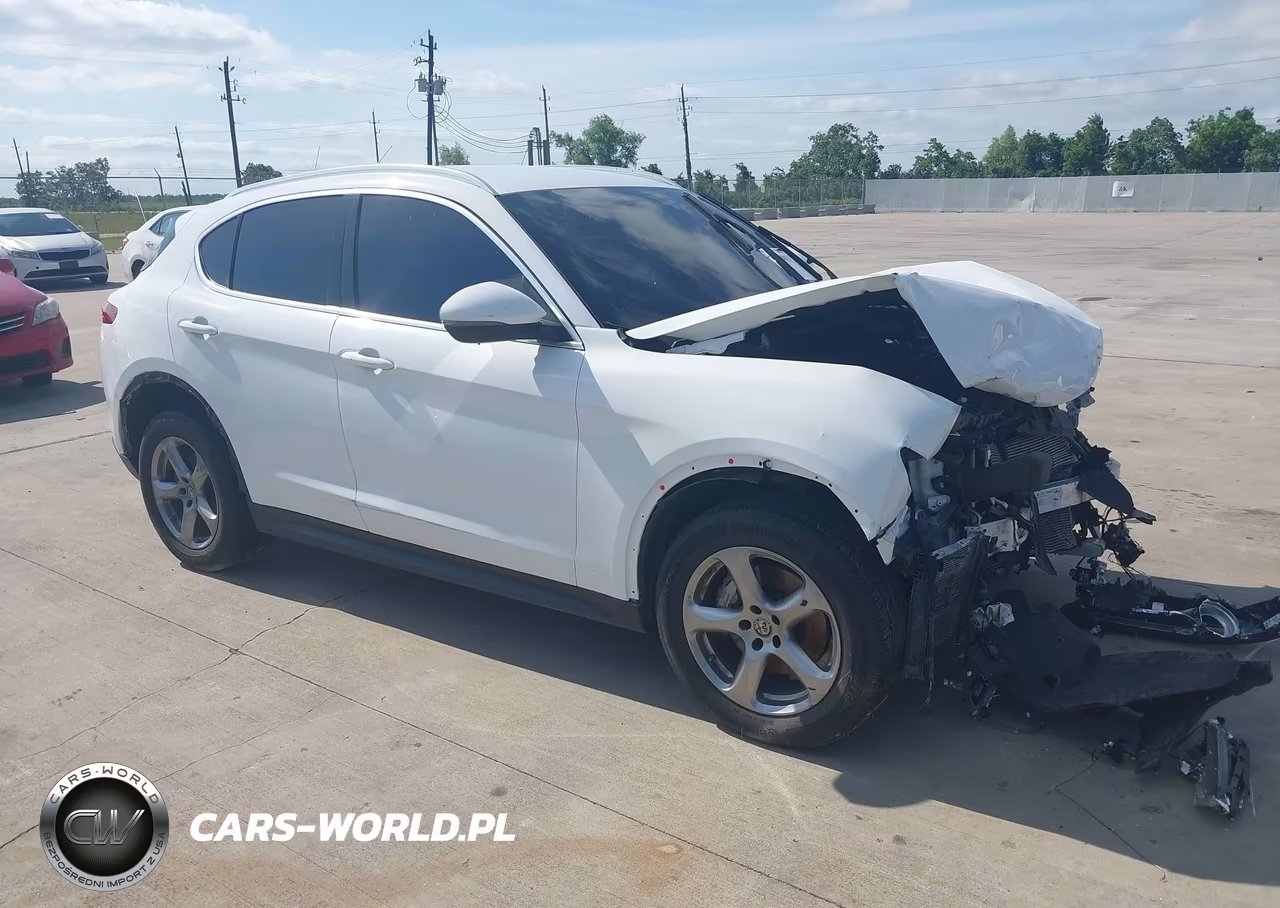 2021 Alfa Romeo Stelvio Awd VIN:ZASPAKAN7M7D14699 - 1