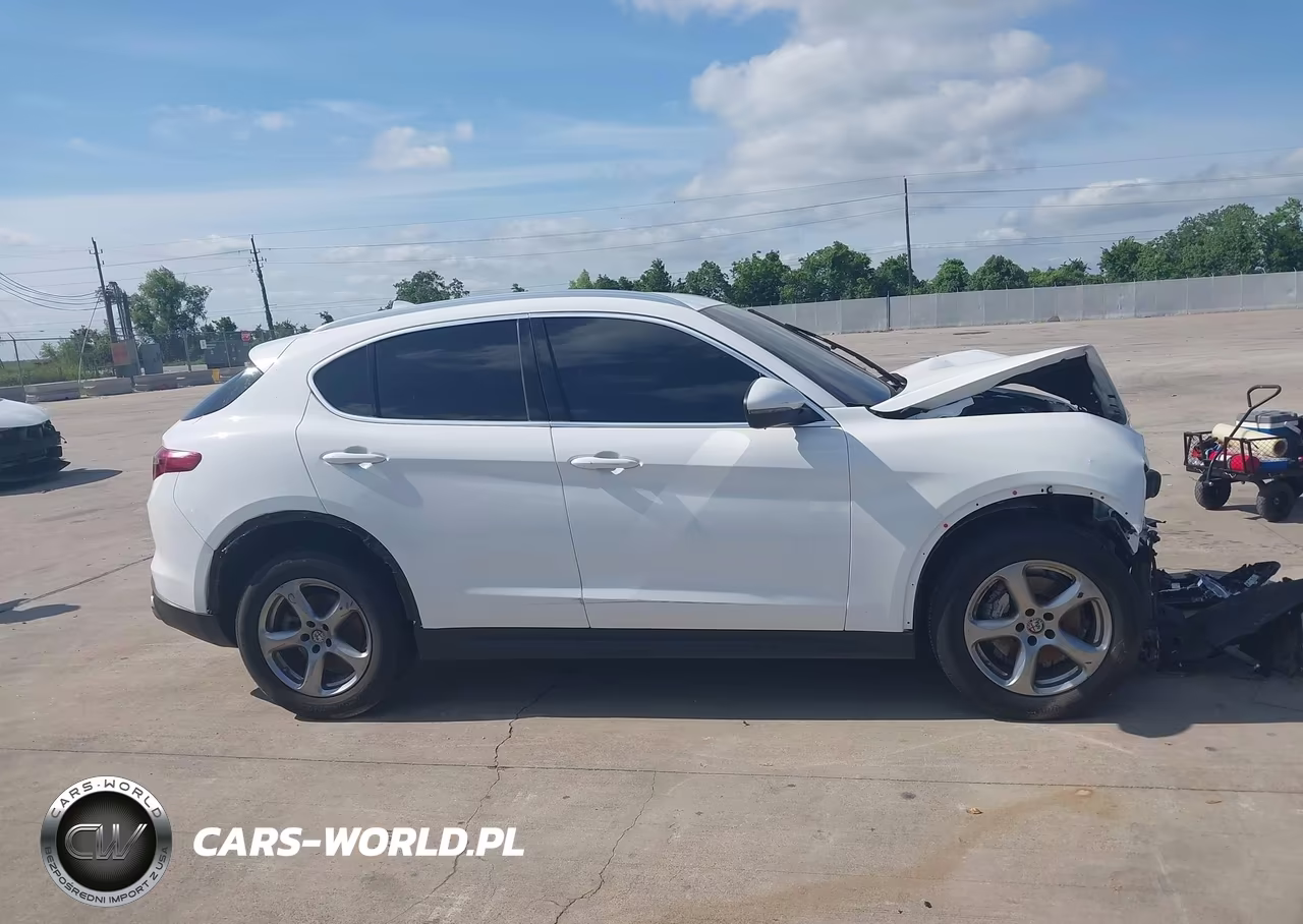 2021 Alfa Romeo Stelvio Awd VIN:ZASPAKAN7M7D14699 - 13