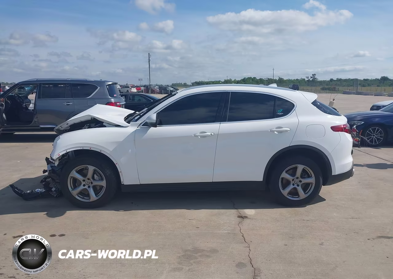 2021 Alfa Romeo Stelvio Awd VIN:ZASPAKAN7M7D14699 - 14