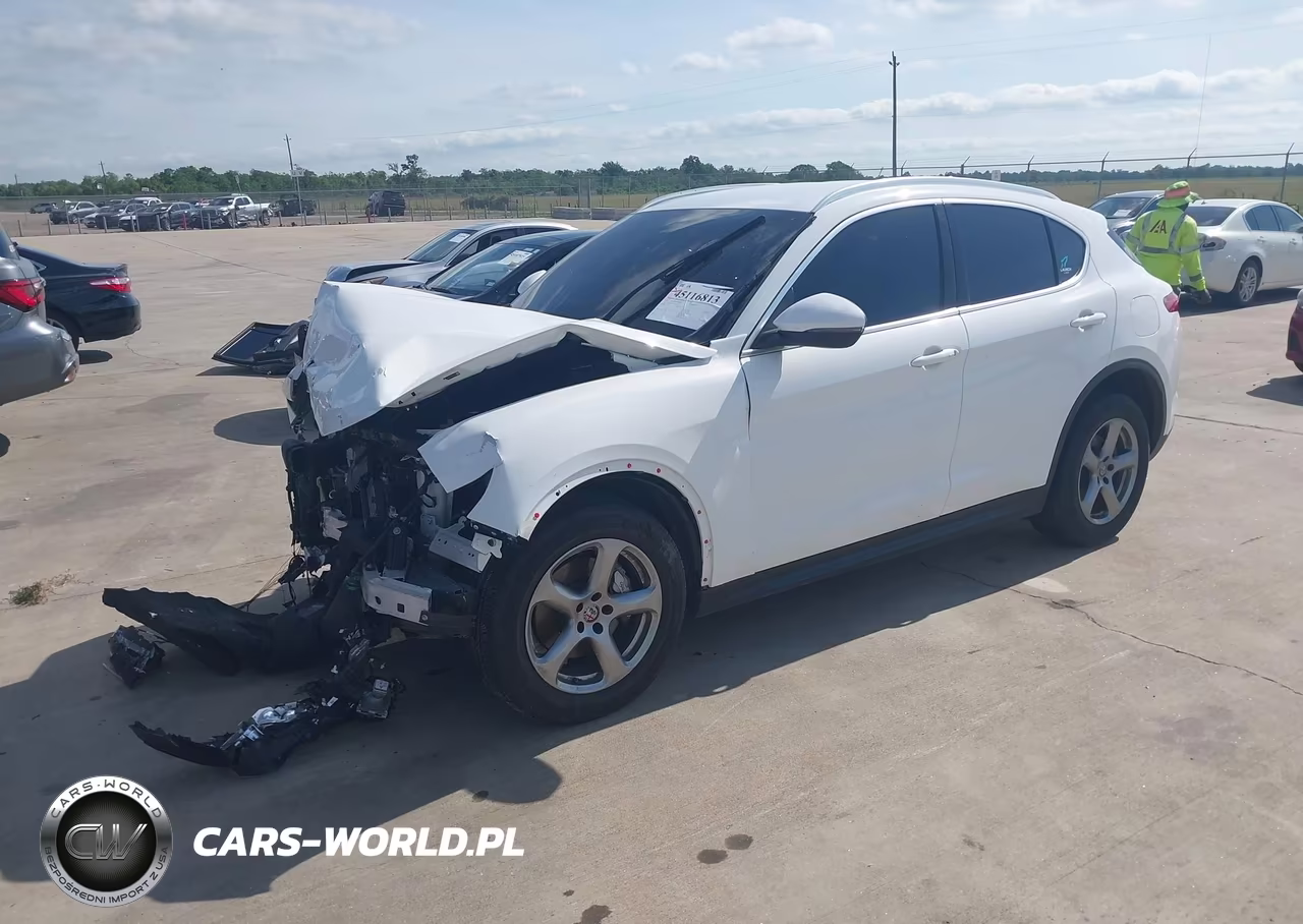 2021 Alfa Romeo Stelvio Awd VIN:ZASPAKAN7M7D14699 - 2