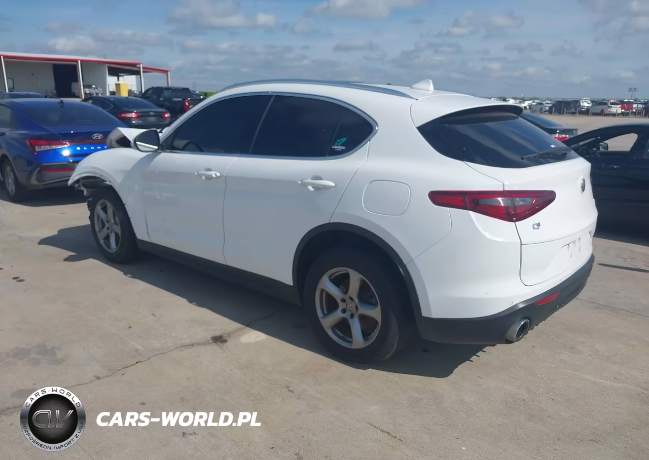 2021 Alfa Romeo Stelvio Awd VIN:ZASPAKAN7M7D14699 - 3