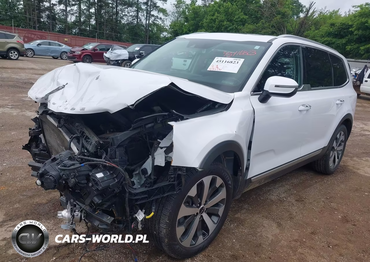 2022 Kia Telluride S VIN:5XYP64HC9NG248025 - 2