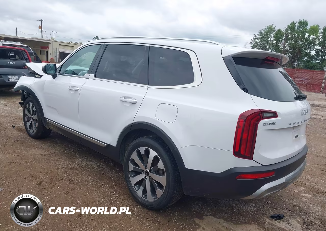 2022 Kia Telluride S VIN:5XYP64HC9NG248025 - 3