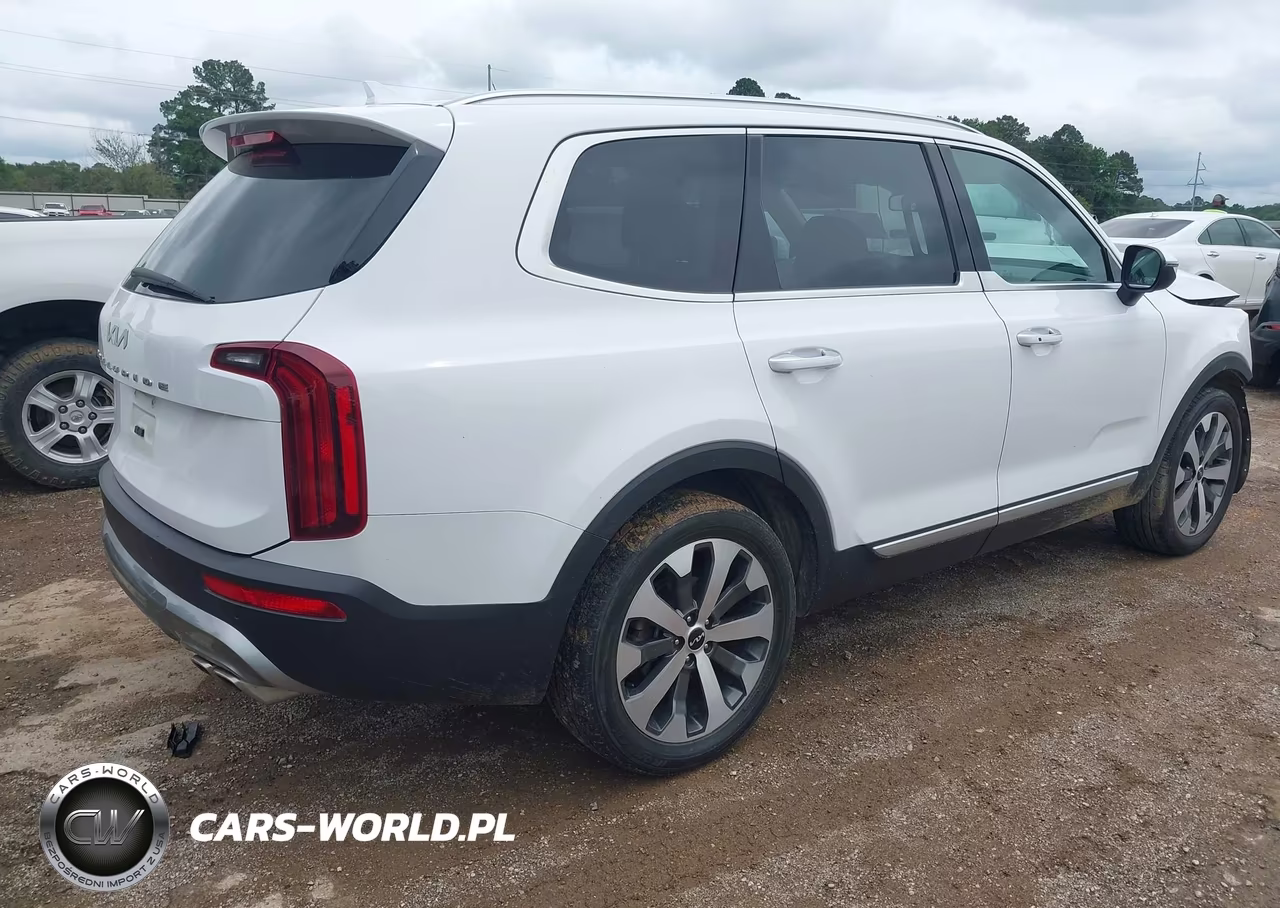 2022 Kia Telluride S VIN:5XYP64HC9NG248025 - 4