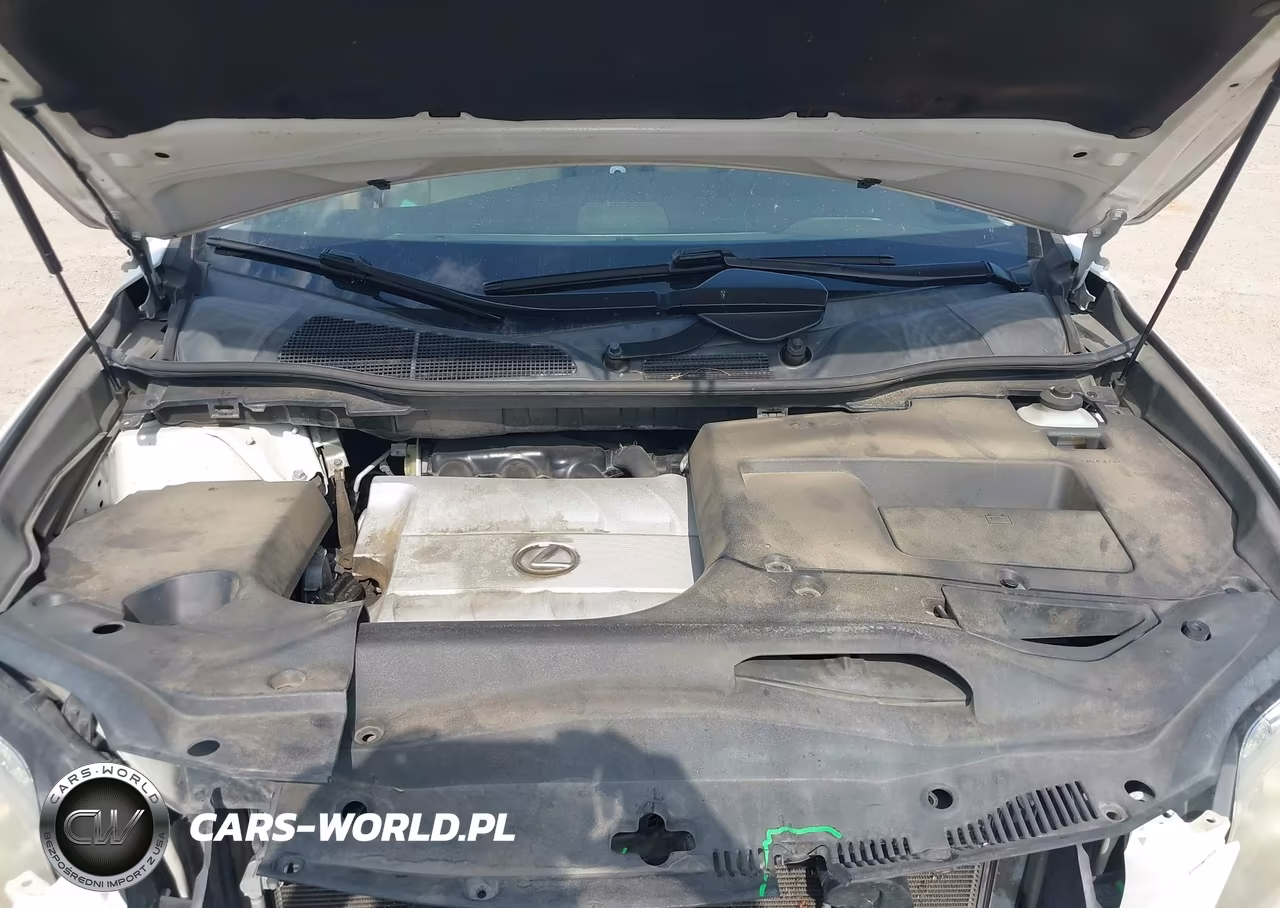 2010 Lexus Rx 350 VIN:JTJZK1BA3A2408363 - 10