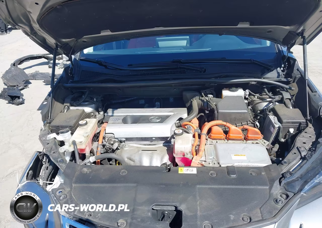 2018 Lexus Nx 300H VIN:JTJBJRBZ0J2096544 - 10